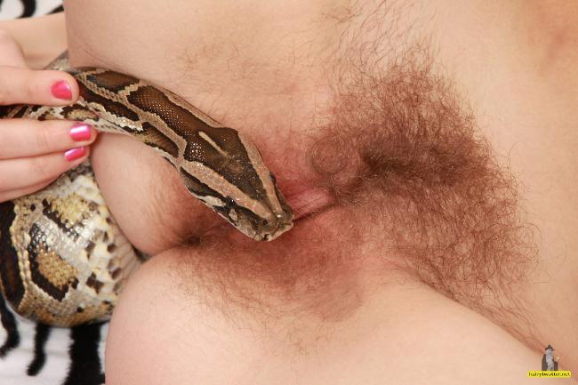 Snakes in the pussy