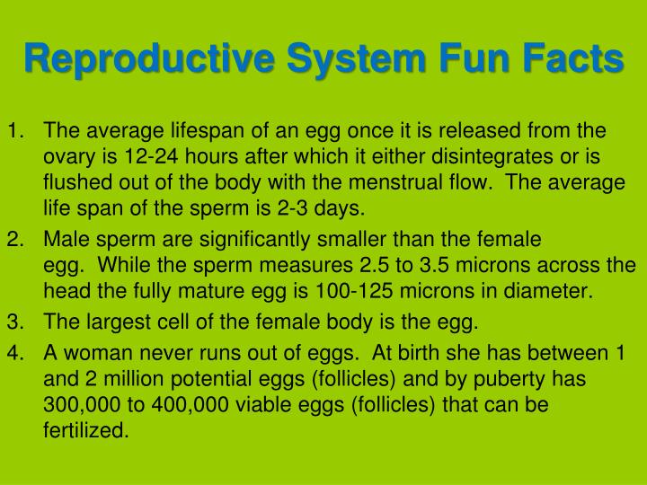 Reproductive system fun facts
