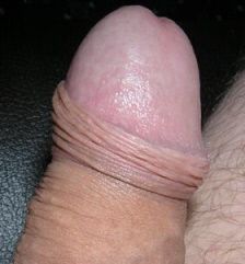 best of Penis pusy Erected in