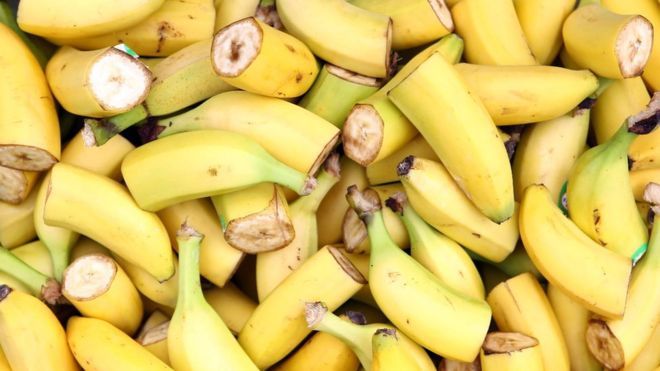 Erotic stories banan guide
