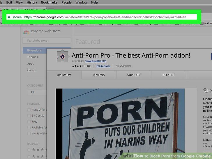 The P. reccomend Block porn sites on chrome