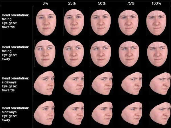best of Expression facial Recognition of emotion of