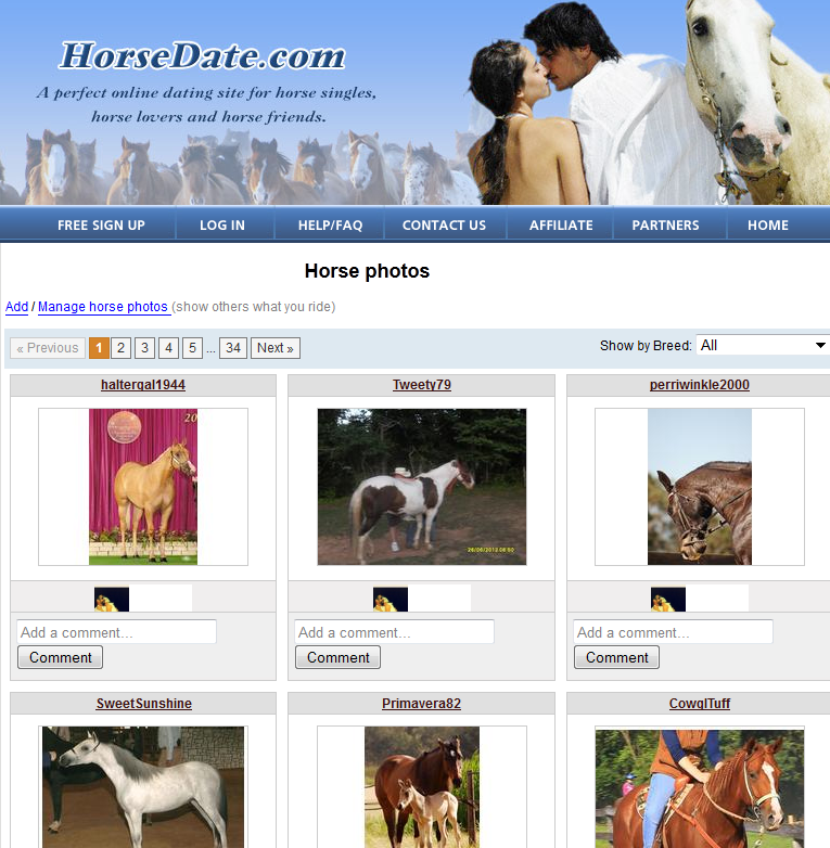 best of Sites dating Horse people