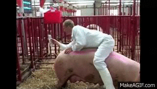 best of Pig orgasm Female