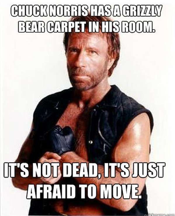 Navigator reccomend Funny facts of chuck norris