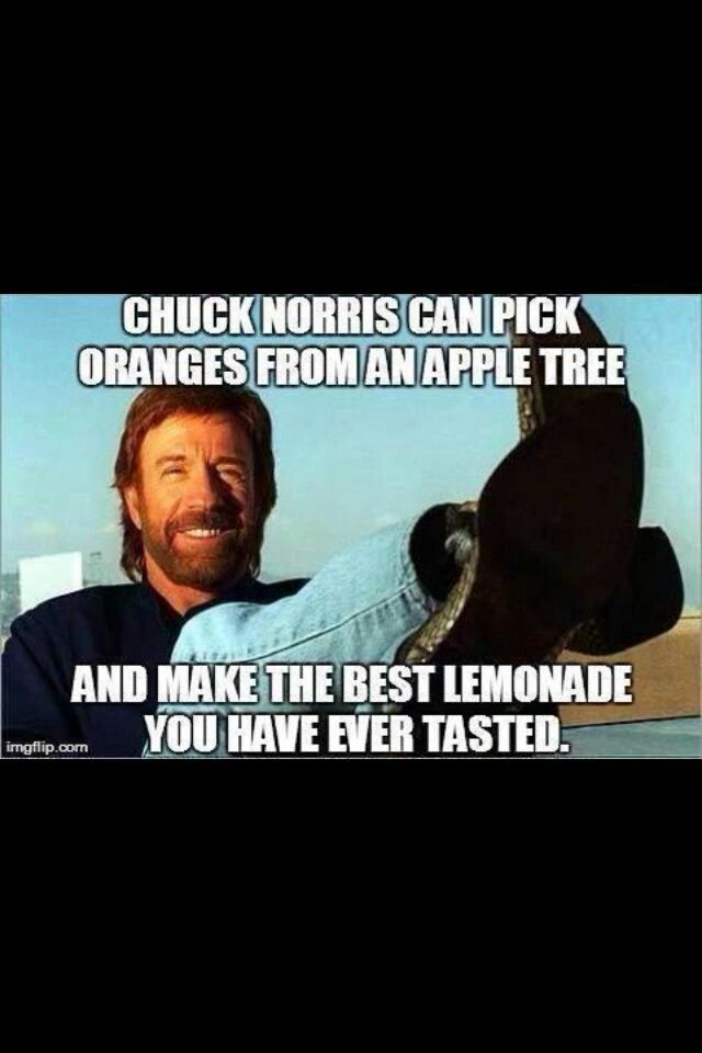best of Of Funny chuck norris facts