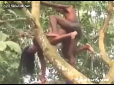 Girl fucked by a real monkey