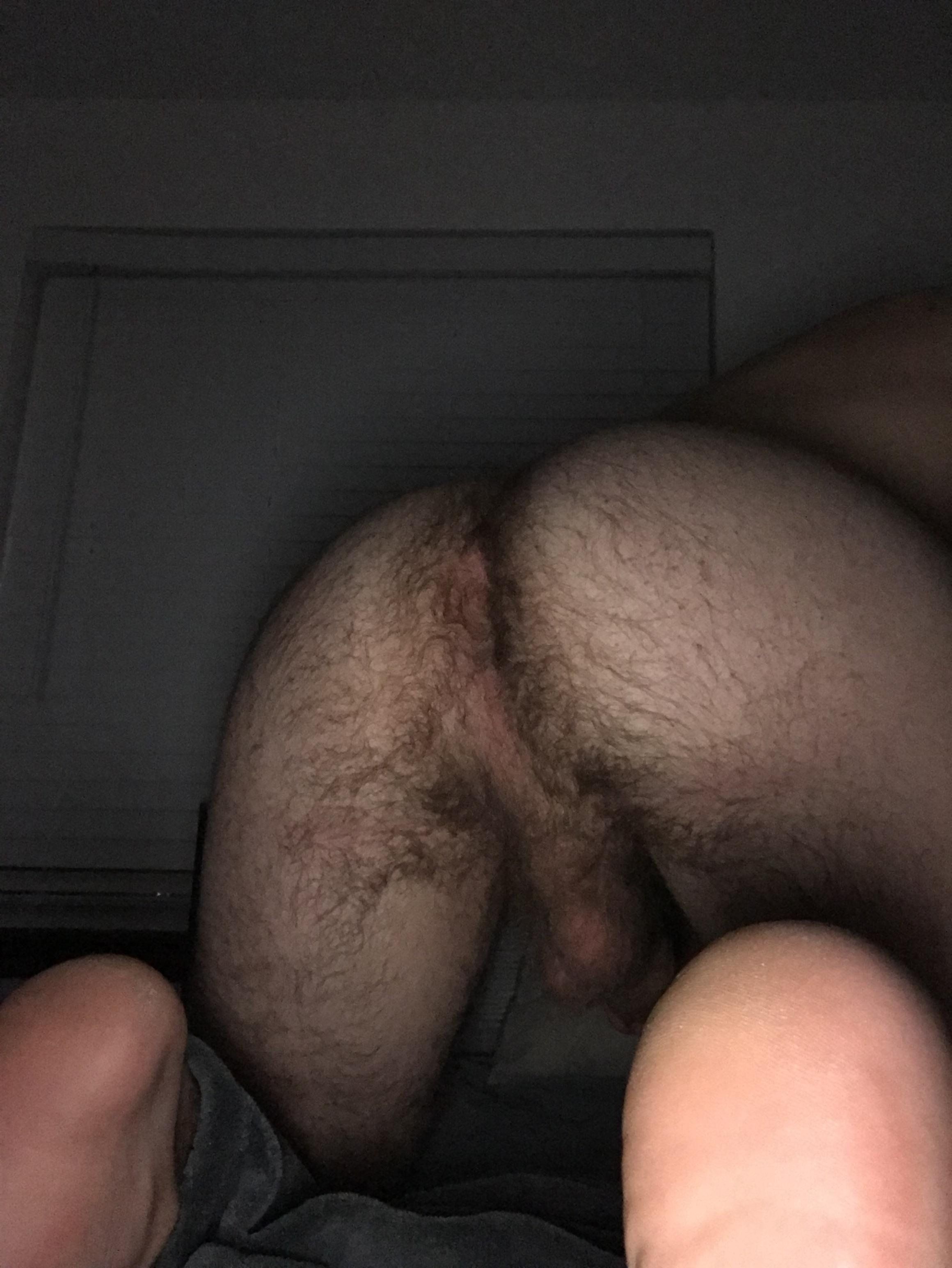 Hairy Ass Gallery