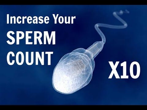 best of Increase your Increasing volume Herbs Volume sperm Semen