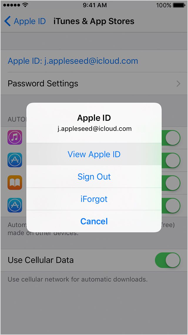 Captian R. reccomend How to remove old apple id from ipad