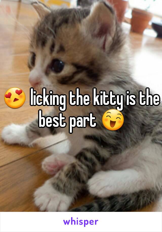 New N. reccomend Licking the kitty