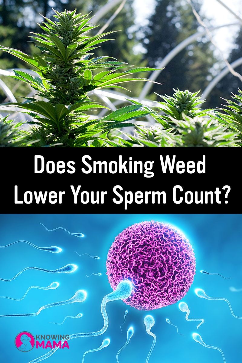 best of And count Marijuana sperm