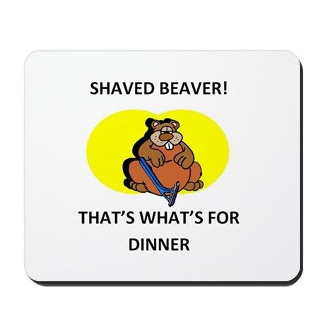 Shaved beaver eating