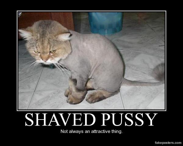 best of Pussy jokes Shaved