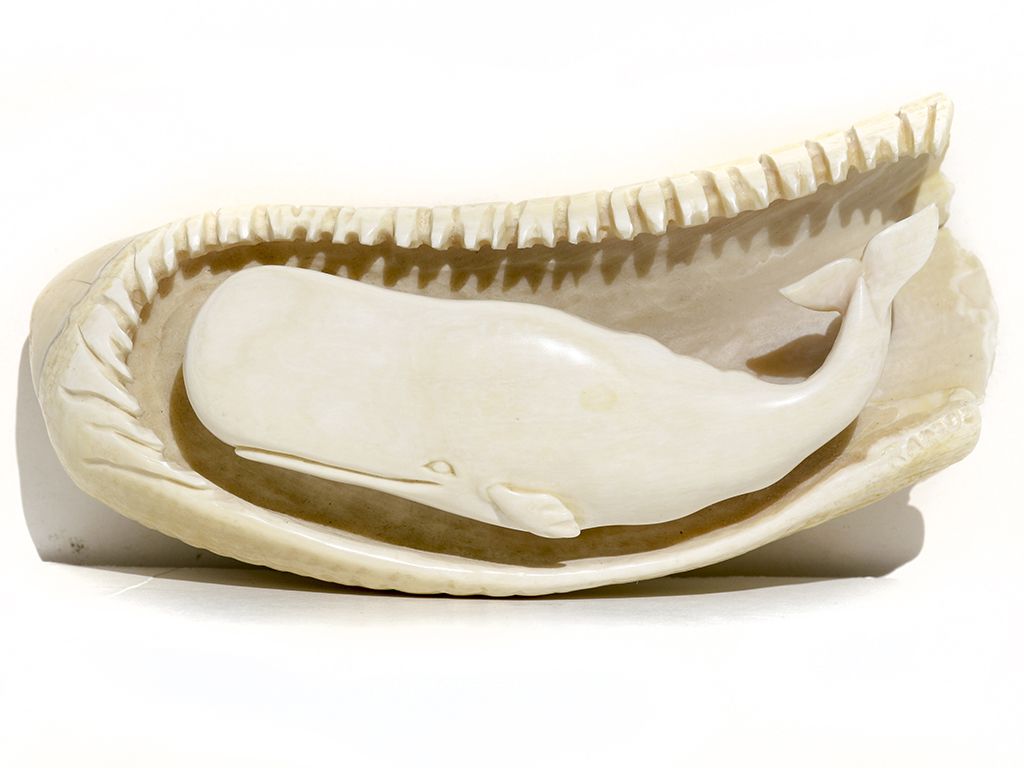 Sperm tooth whale