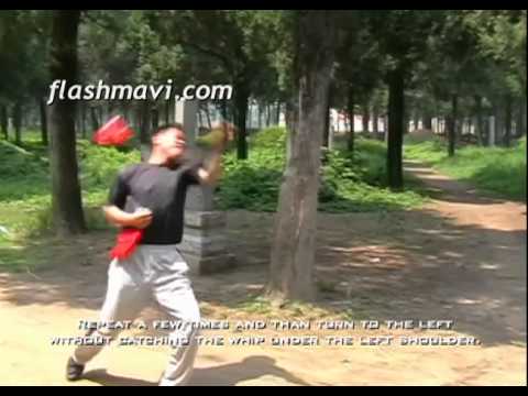 Swinging arm kung fu