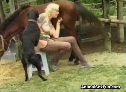 Women having barn yard sex